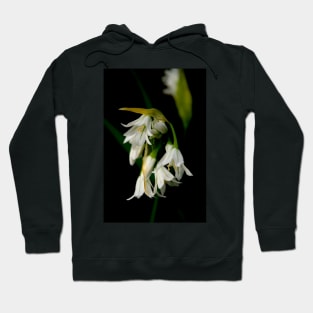 Wild Garlic Hoodie